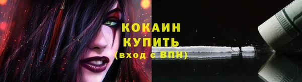 соль ск Алзамай