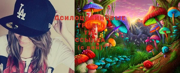 молекула духа Алексеевка