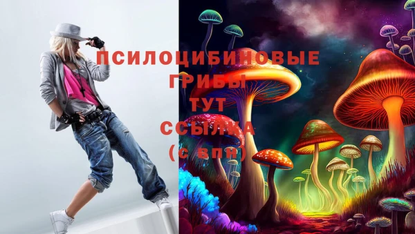 молекула духа Алексеевка
