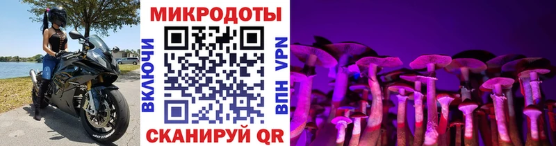 Галлюциногенные грибы прущие грибы купить закладку Йошкар-Ола