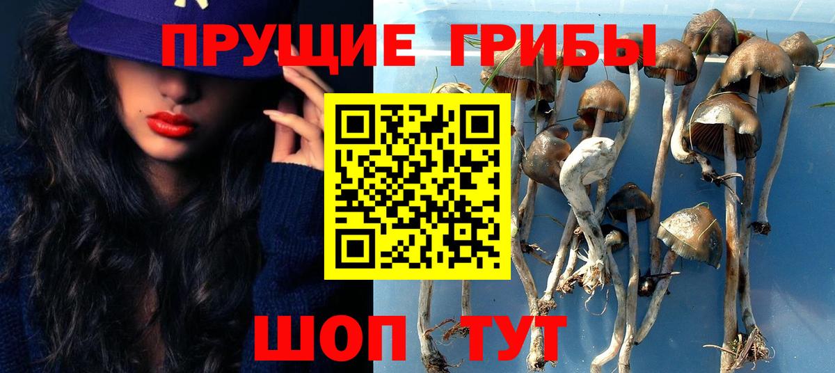 Йошкар-Ола  Галлюциногенные грибы Magic Shrooms  Вход с VPN 
